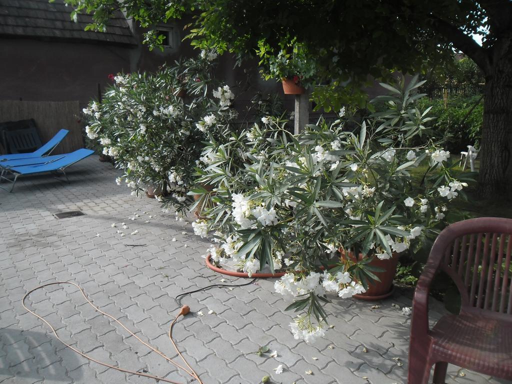 Hotel Attila Vendeghaz Tapioszentmarton Exterior foto